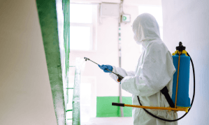 agentie de cleaning Cleantobe Moldova