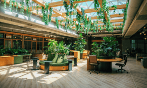 Firmă curățenie generală în Chișinău Cleantobe 